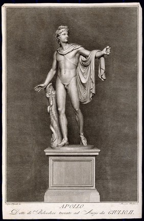 Apollo Belvedere. Engraving by A. Mochetti after S. Tofanelli.