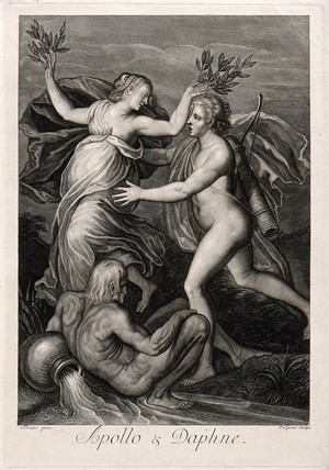 view Apollo and Daphne. Engraving by P.S. van Gunst after Titian.