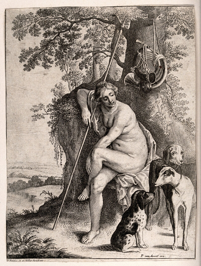 Diana [Artemis]. Engraving by P. Pontius and etching by W. Hollar after P. van Avont., by Pieter van Avont