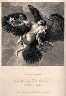 Ganymede. Engraving by J. Outrim after D. Mazza.