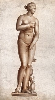 Venus [Aphrodite]. Sanguine stipple engraving.