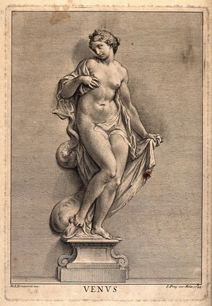 view Venus [Aphrodite]. Engraving by J. Frey, 1743, after Michelangelo.