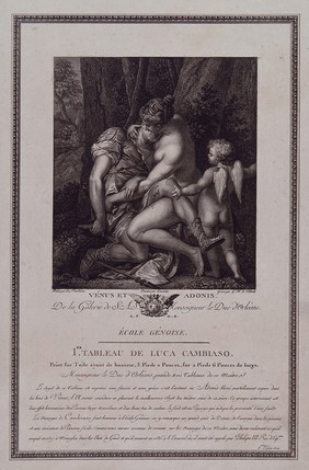 Venus [Aphrodite] and Adonis. Engraving by G.R. Le Villain after Duvivier after L. Cambiaso.