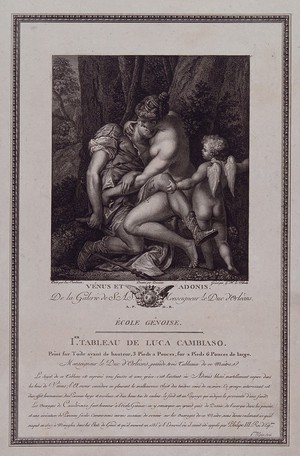 view Venus [Aphrodite] and Adonis. Engraving by G.R. Le Villain after Duvivier after L. Cambiaso.