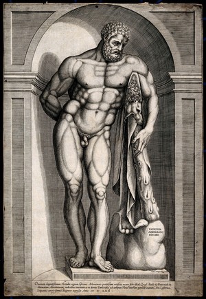view The Farnese Hercules. Engraving by J. Bosius Belga [J. Bos], 1562.