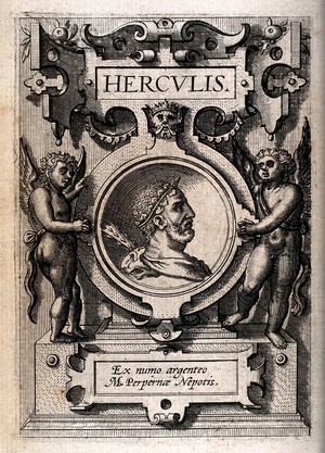 view Hercules. Engraving.