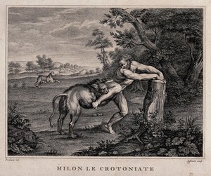 view Milo of Croton. Stipple engraving by A. Zaffonato after G.A. Pordenone.