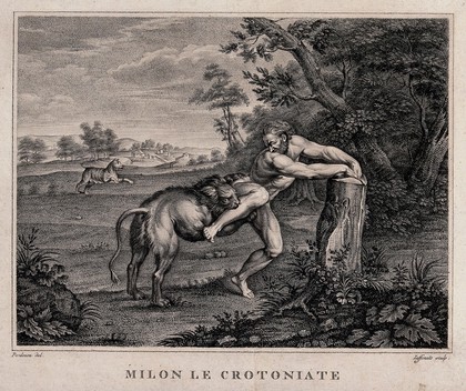 Milo of Croton. Stipple engraving by A. Zaffonato after G.A. Pordenone.