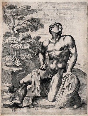 view A son of Niobe. Etching by F. Perrier.