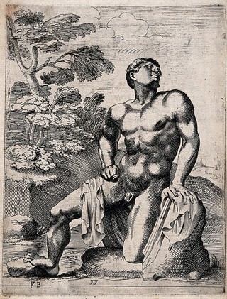 A son of Niobe. Etching by F. Perrier.