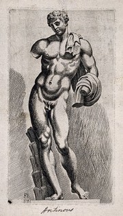 Antinous. Etching by F. Perrier.