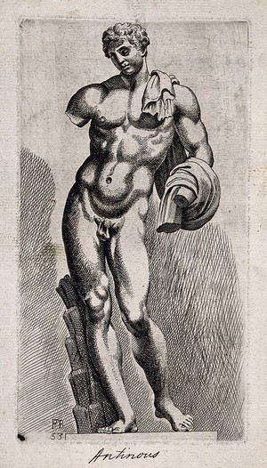 view Antinous. Etching by F. Perrier.