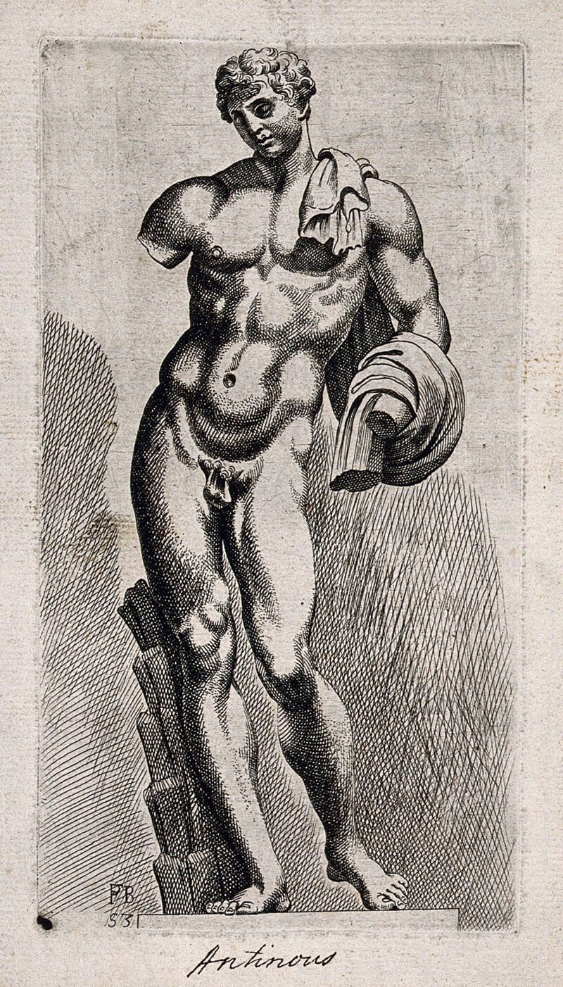 Antinous. Etching by F. Perrier., by François Perrier