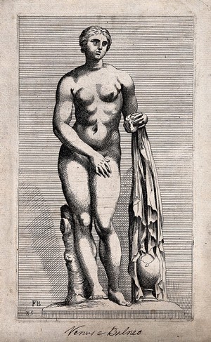 view Venus. Etching by F. Perrier.