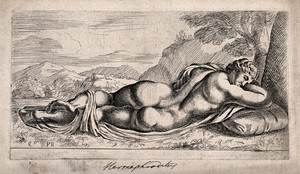 view Hermaphroditus. Etching by F. Perrier.