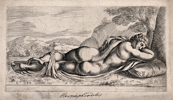 Hermaphroditus. Etching by F. Perrier.