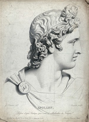 view Head of the Apollo Belvedere. Stipple engraving by J.L. Anspach after G.F. Reverdin.