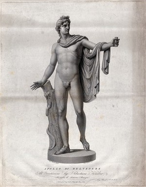 view Apollo. Engraving by P. Fontana after L. Fineschi.