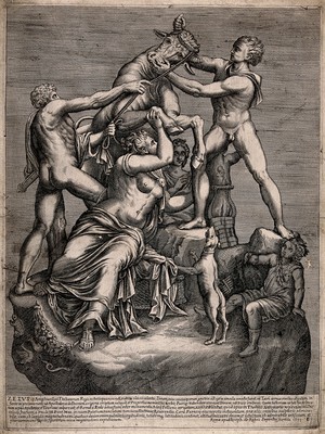 view The death of Dirke (Dirce): her stepsons Zetos (Zethos) and Amphion tie her by her hair to the horns of a bull and have her flung into a well. Engraving, 1633.