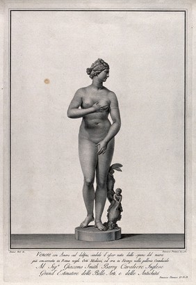 Venus [Aphrodite]: the Medici Venus. Engraving by F. Piranesi, 1781, after T. Piroli.