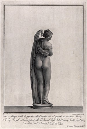 Venus [Aphrodite]: the Callipygian Venus. Engraving by F. Piranesi, 1783,  after T. Piroli.