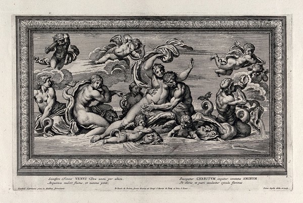 Venus (Aphrodite) carried on the waves by Triton, with the three Graces and with Cupids. Etching by P. Aquila after Annibale Carracci.