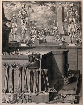 Human bones in the foreground; skeletons in the background. Engraving after C. Martinez, ca. 1680 (?).