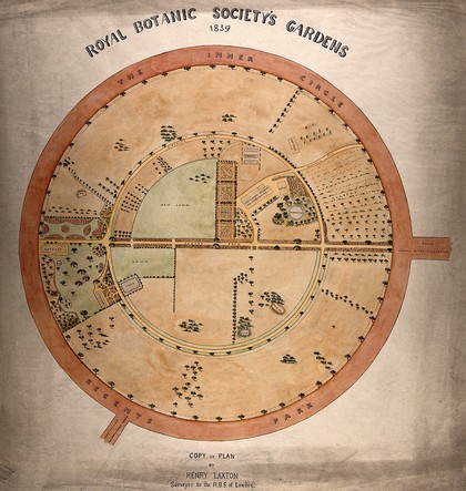 Plan of the Royal Botanic Society's Gardens, Regents Park. Drawing after H. Laxton, 1839.