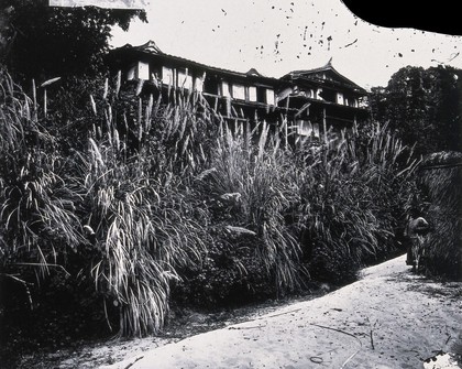 River Min, Fukien province, China. Photograph, 1981, from a negative by John Thomson, 1870/1871.