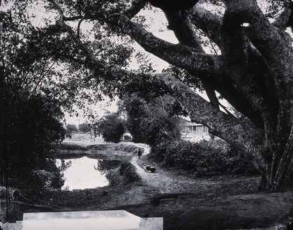 Kwangtung province, China. Photograph, 1981, from a negative by John Thomson, 1870.