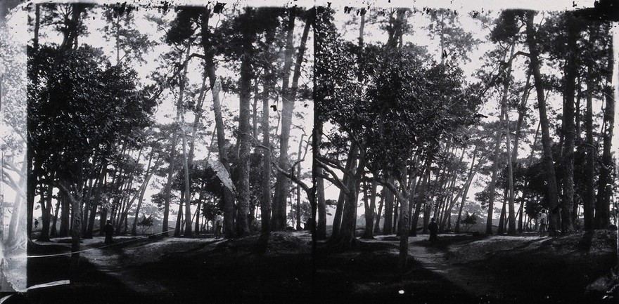 Foochow, Fukien province, China. Photograph, 1981, from a negative by John Thomson, 1870/1871.