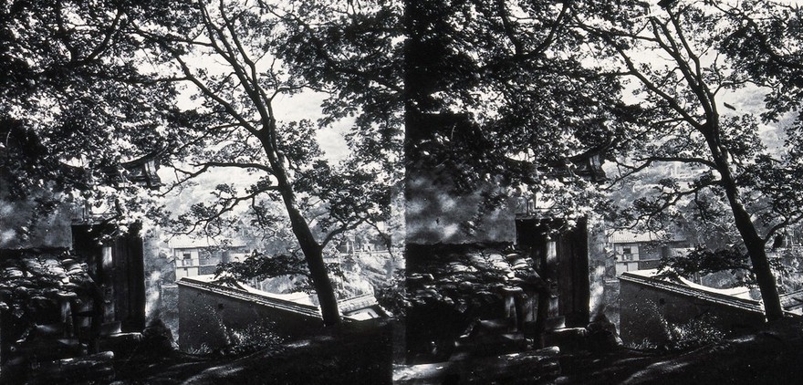 Foochow, Fukien province, China. Photograph, 1981, from a negative by John Thomson, 1870/1871.