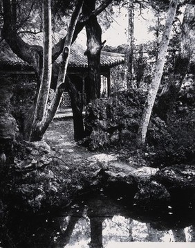 Amoy, Fukien province, China. Photograph, 1981, from a negative by John Thomson, 1870/1871.