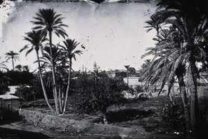 view Nicosia, Cyprus. Photograph, 1981, from a negative by John Thomson, 1878.