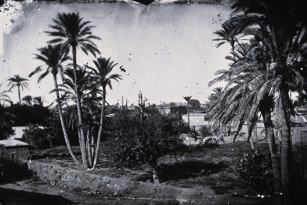 Nicosia, Cyprus. Photograph, 1981, from a negative by John Thomson, 1878.