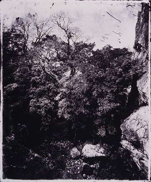 view Formosa [Taiwan]. Photograph, 1981, from a negative by John Thomson, 1871.