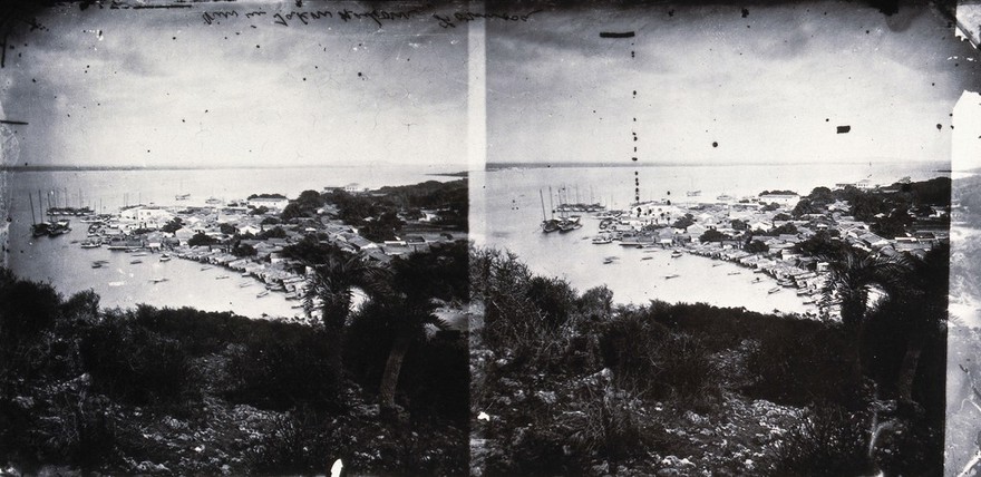 Takow harbour (Takao, Kaohsiung), Formosa [Taiwan]. Photograph, 1981, after a negative by John Thomson, 1871.