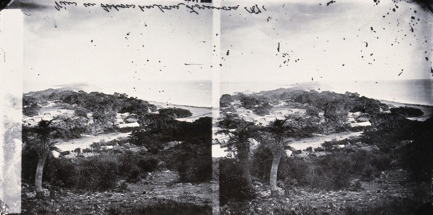 Takow harbour (Takao, Kaohsiung), Formosa (Taiwan). Photograph, 1981, after a negative by John Thomson, 1871.