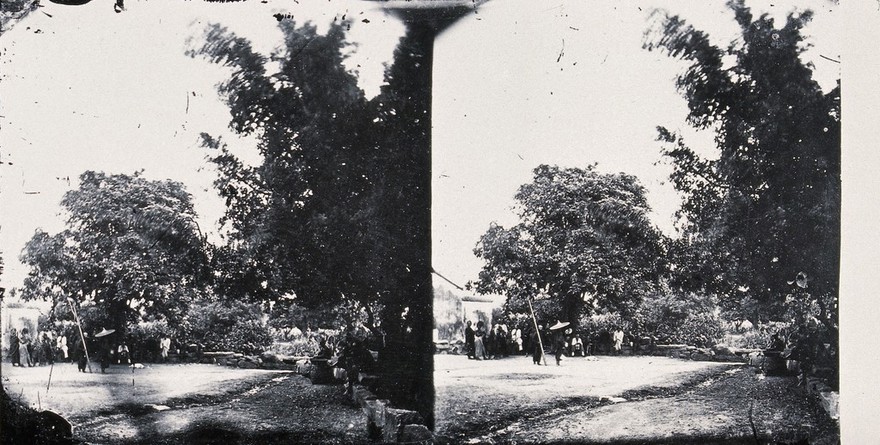 Taiwan-fu, Formosa [Taiwan]. Photograph, 1981, after a negative by John Thomson, 1871.