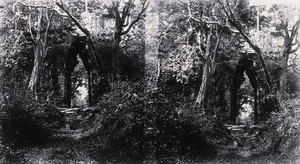 view Nakhon Thom [Angkor Wat], Cambodia. Photograph, 1981, from a negative by John Thomson, 1866.