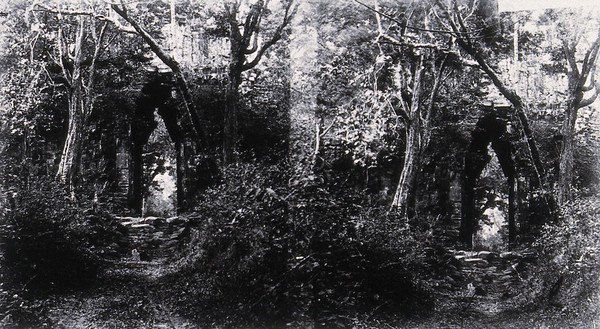 Nakhon Thom [Angkor Wat], Cambodia. Photograph, 1981, from a negative by John Thomson, 1866.