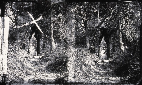 Nakhon Thom [Angkor Wat], Cambodia. Photograph, 1981, from a negative by John Thomson, 1866.