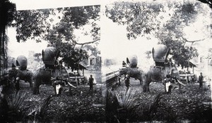 view Cambodia. Photograph, 1981, from a negative by John Thomson, 1865.