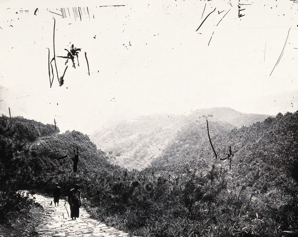 Snowy Valley, Chekiang [?] province, China. Photograph, 1981, from a negative by John Thomson, 1871.