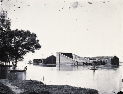 Tientsin, Pechili province, China. Photograph, 1981, from a negative by John Thomson, 1871.