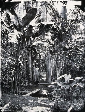 view Annam, Cochin China [Vietnam]. Photograph, 1981, from a negative by John Thomson, 1867.