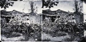 view Formosa (Taiwan). Photograph, 1981, from a negative by John Thomson, ca. 1870.