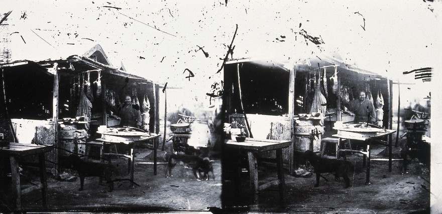 Peking, Pechili province, China. Photograph, 1981, from a negative by John Thomson, 1869.