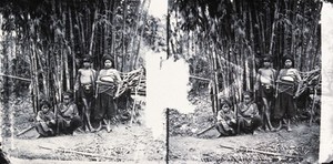 view Lalung, Formosa [Taiwan]. Photograph, 1981, from a negative by John Thomson, 1871.