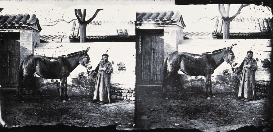 China. Photograph, 1981, from a negative by John Thomson, 1871.